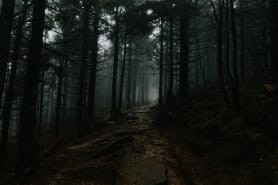 Schwarzwald und Umgebung Schwarzwald und Umgebung