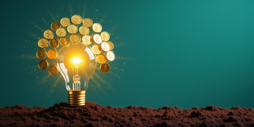 Social Entrepreneurship: Combining Profit and Purpose