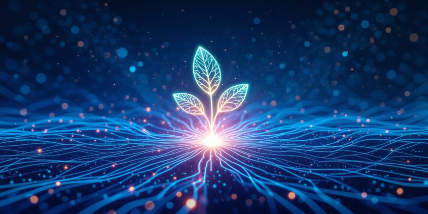 The Lifecycle of an Online Community