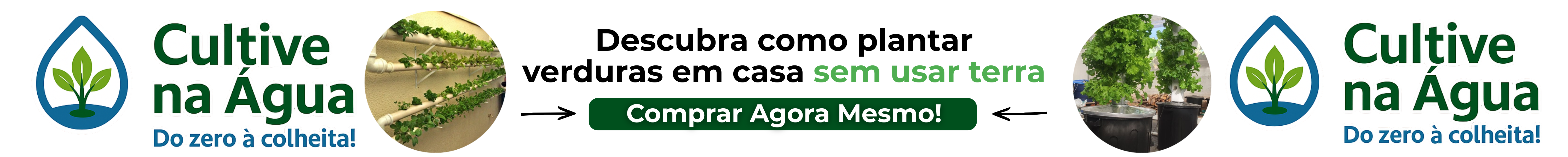 Cultiva na água