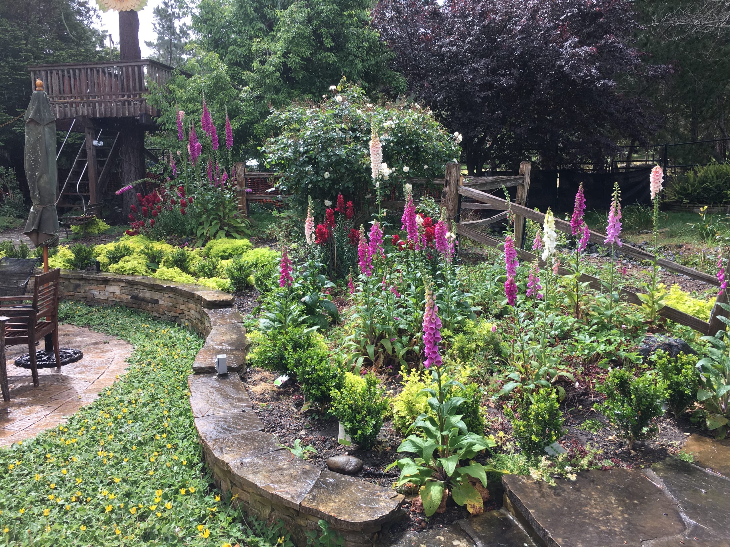 Season Planting