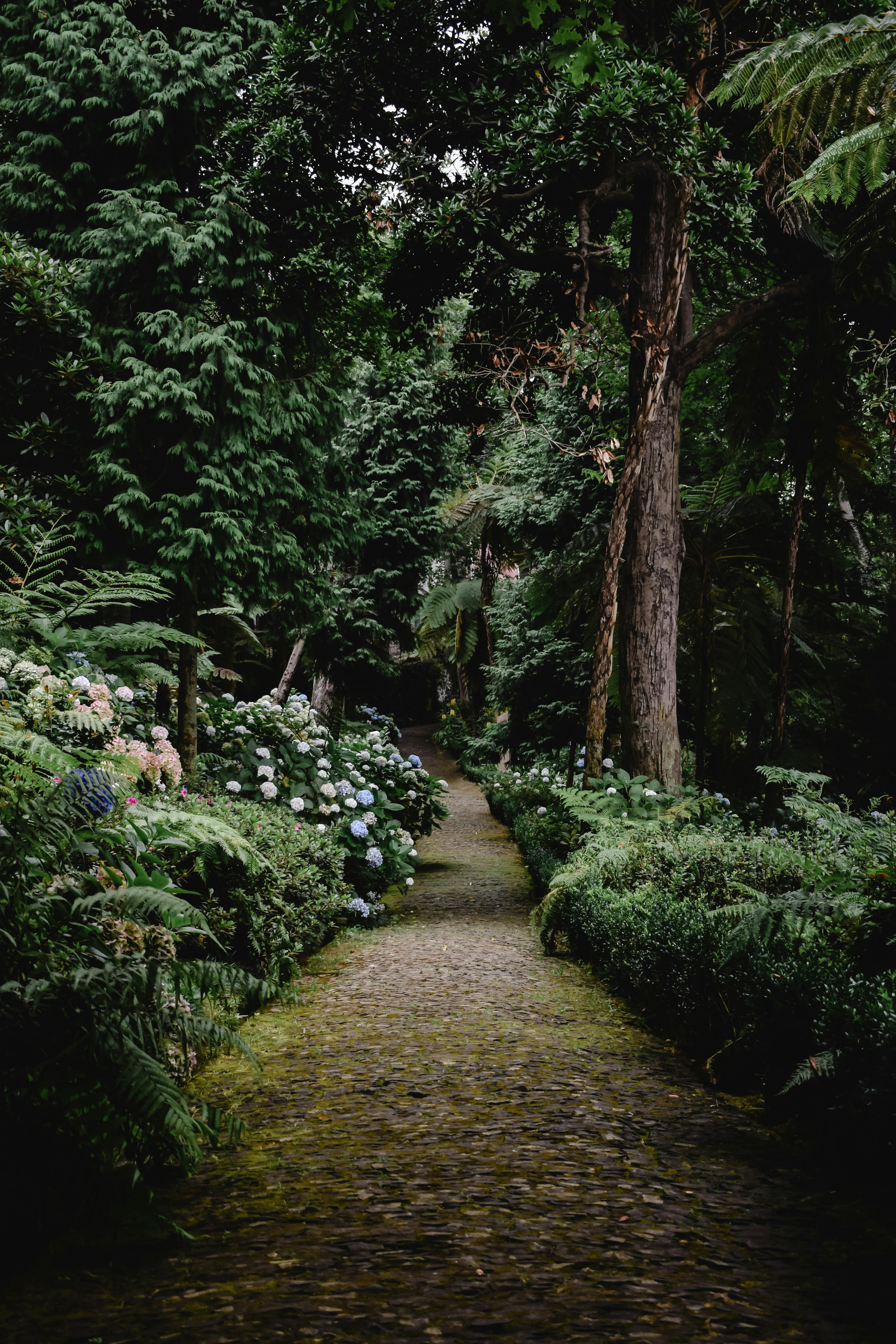 Madeira Natural Wonders