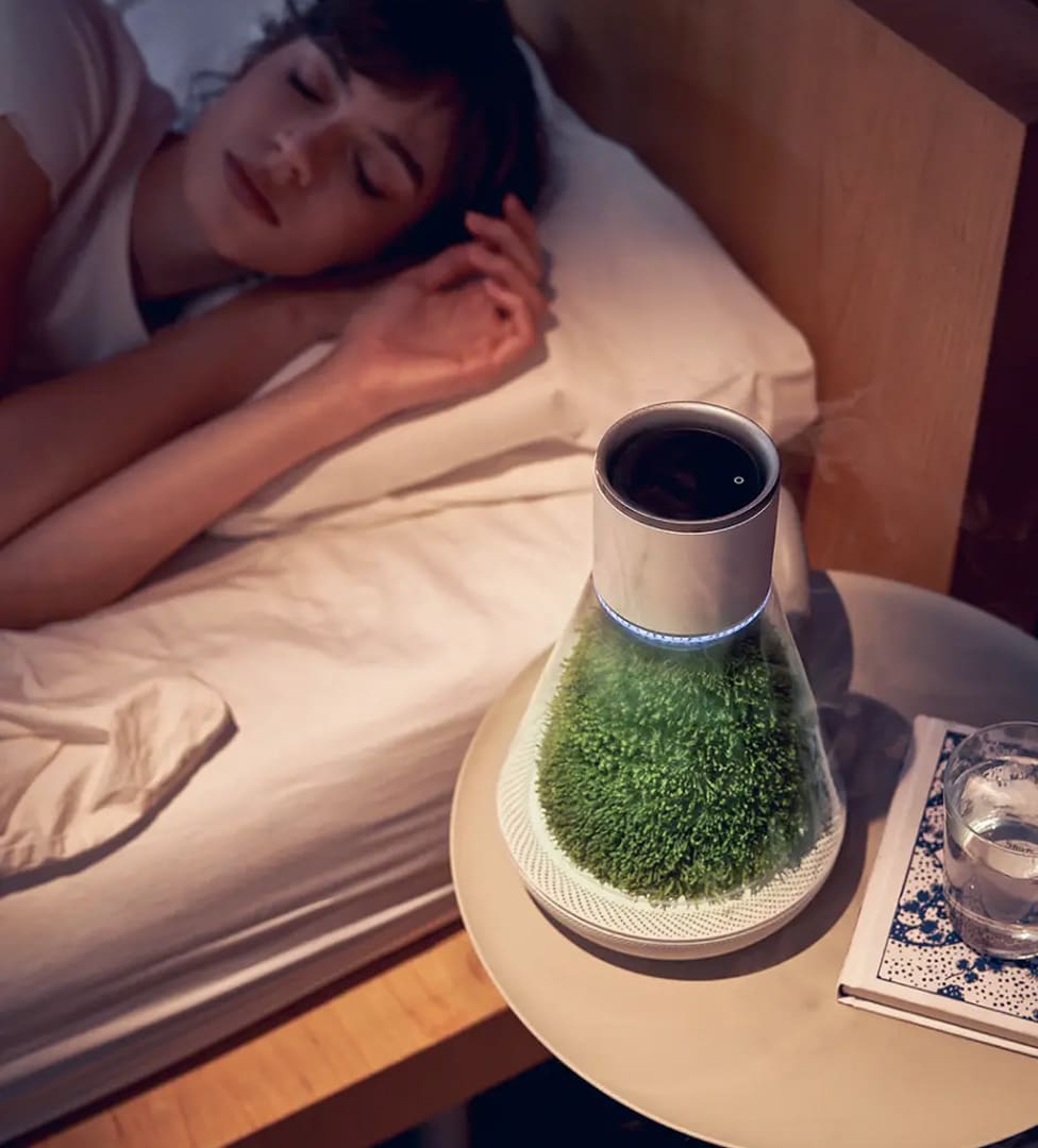 Oasis Planter