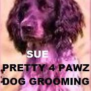 Pretty 4 Pawz Dog Grooming Spalding
