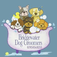 Bridgewater Dog Groomers
