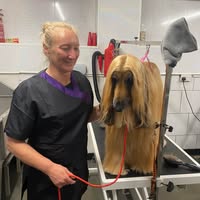Inge's Groom room