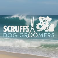 Scruffstorbay - Torquay