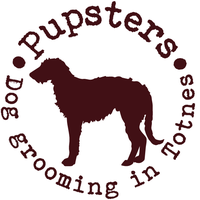 Pupsters Dog Grooming Totnes