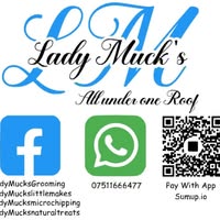 lady's mucks grooming salon