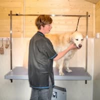 Mutley's Grooming Spa