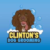 Clinton's Dog Grooming