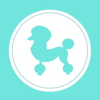 Frampton Dapper Dogs