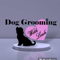 Dog Grooming with Leah