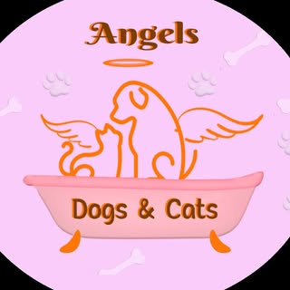 Pet Care
