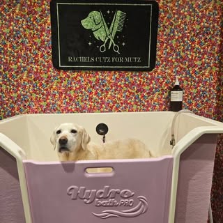 Rachel's Cutz for Mutz Dog Grooming