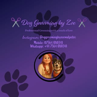 Dog Grooming by Zoe Mulpetre