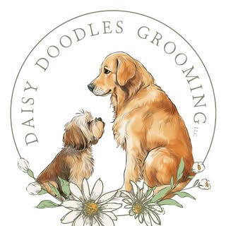 Daisy Doodles Grooming
