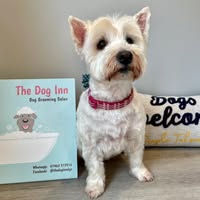 The Dog Inn - Dog Grooming Salon