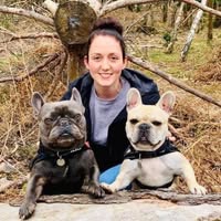 HD Paws Dog Grooming