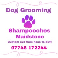 Shampooches Maidstone