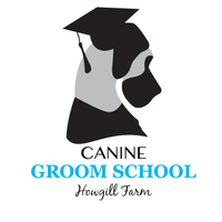 Canine Groom School
