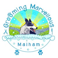Grooming Marvellous Malham