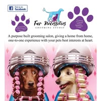 Fur Necessities Dog Grooming Studio