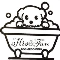 His & Furs pet groomer