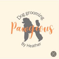 Pawgeous-Dog Grooming By Heather
