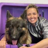 Karine’s Dog Grooming