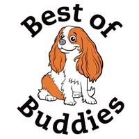 Best of Buddies