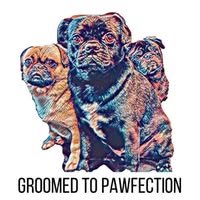 Groomed to Pawfection: Pug Specialist