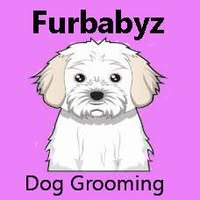 Furbabyz