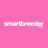 Manchester Dog Groomers