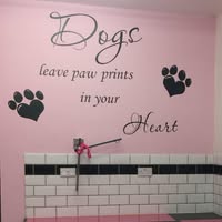 Allsorts Dog Grooming