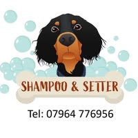 Shampoo & Setter