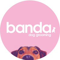 Banda Dog Grooming