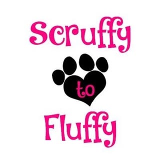 Scruffy To Fluffy Dog Grooming Torbay