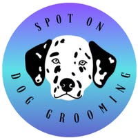 Spot On - Dog Grooming
