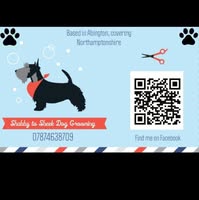 Shabby to Sheek dog grooming