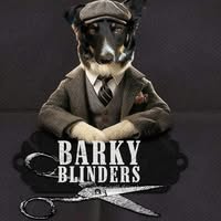 Shrewsbury dog grooming Barky Blinders