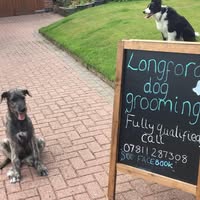 Longford Dog Grooming
