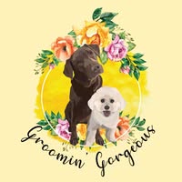 Groomin’ Gorgeous Penkridge Dog Groomer