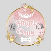 Angel Paws Groom Room