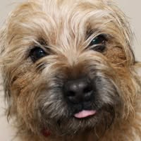 Woof, Wash & Wagg