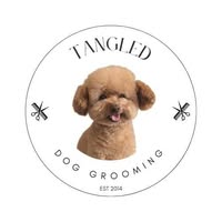 Tangled Dog Grooming Salon