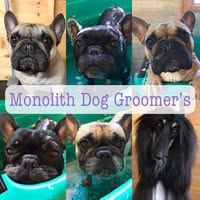 Monolith Dog Groomer’s
