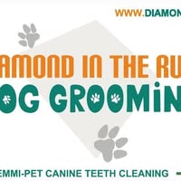 Diamond in the Ruff Dog Grooming