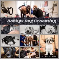 Bobbys Dog Grooming
