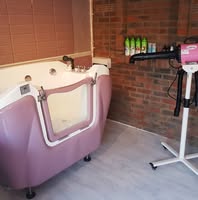 Wag Tails Dog Spa